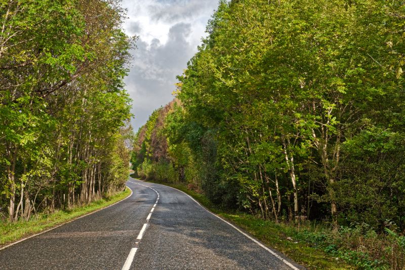 Measuring & Fit Tips